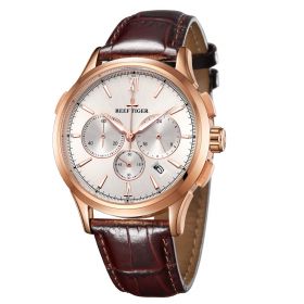 Reef Tige Designer Luxury Dress Watch Gold White Dial Brown Leather Strap Chronograph Quartz Watch RGA1669